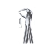  Extarcting Forceps 